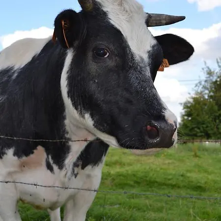 Paquay Dom wakacyjny Libramont-Chevigny